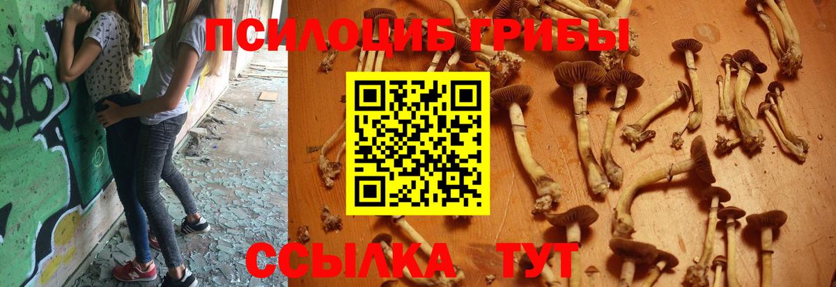 Каменск-Уральский  Псилоцибиновые грибы ЛСД  где продают   Вход с VPN 